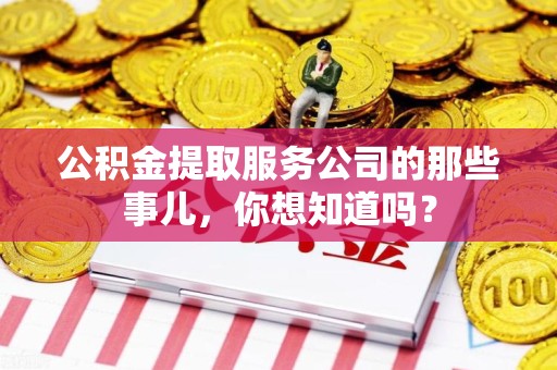 武夷山公积金提取服务公司的那些事儿，你想知道吗？
